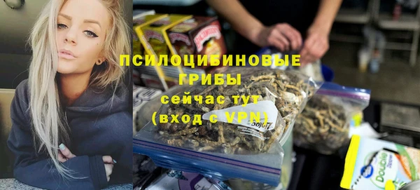 PSILOCYBIN Абинск